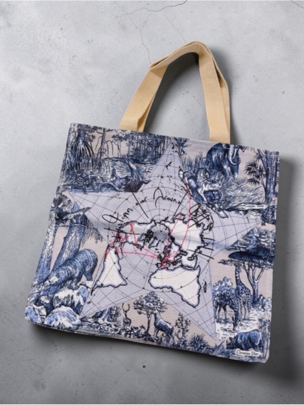 Dior Blue and White around the world canvas Tote NWT - Picture 2 of 10